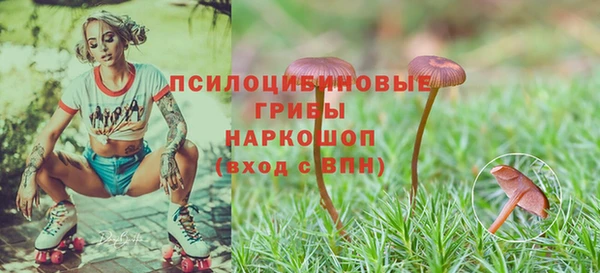 PSILOCYBIN Алексин